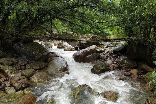 Tour image 4