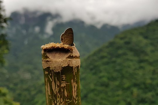 Tour image 1