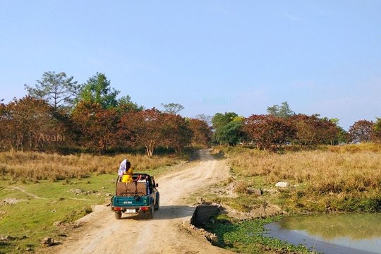 Tour image 1