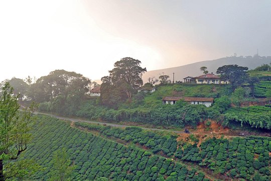 Tour image 2