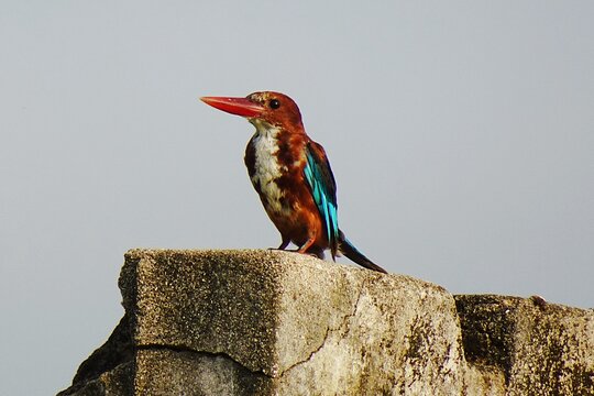 Tour image 7